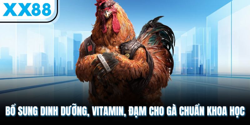 Sổ Tay Chăm Sóc Gà Sau Trận Đấu Hồi Phục Thể Lực Thần Tốc 3 Bổ sung dinh dưỡng, vitamin, đạm cho gà chuẩn khoa học