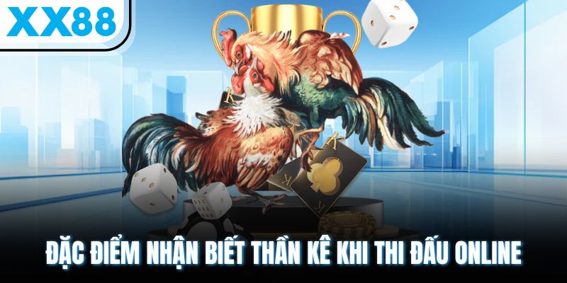 Dị Tướng Linh Kê - Đặc Điểm Mang Lại Sự May Mắn 3 Đặc điểm nhận biết thần kê khi thi đấu online