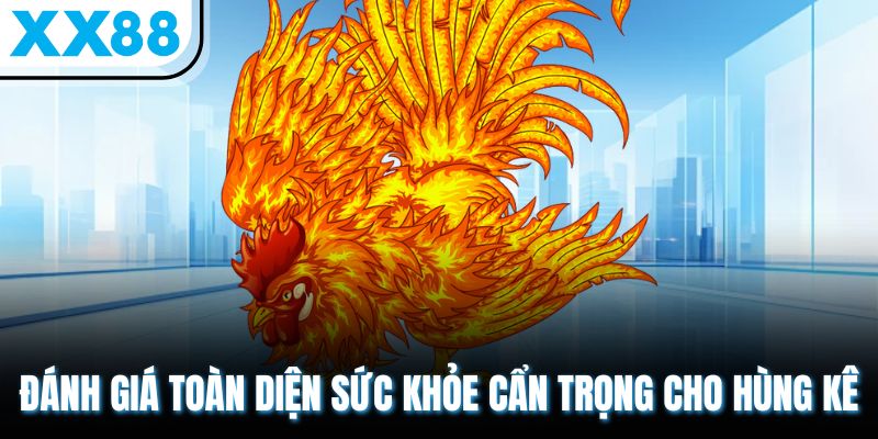 Sổ Tay Chăm Sóc Gà Sau Trận Đấu Hồi Phục Thể Lực Thần Tốc 2 Đánh giá toàn diện sức khỏe cẩn trọng cho hùng kê