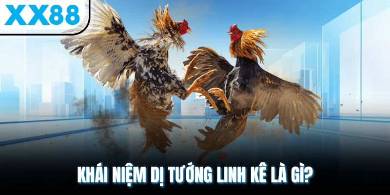 Dị Tướng Linh Kê - Đặc Điểm Mang Lại Sự May Mắn 1 Khái niệm dị tướng linh kê là gì?