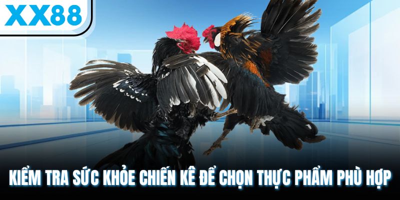 Cho Gà Ăn Gì Trước Khi Đá Vừa Khỏe Mạnh Vừa Chiến Đấu Tốt? 3 Kiểm tra sức khỏe chiến kê để chọn thực phẩm phù hợp